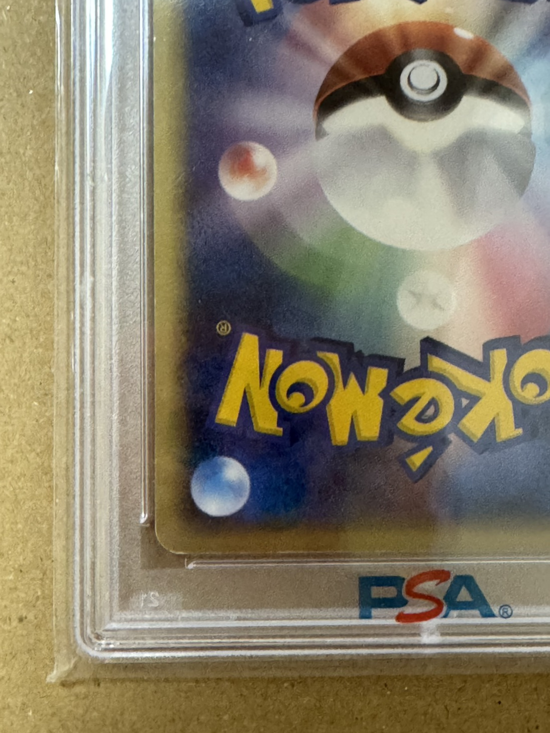 มุมล่างซ้ายด้านหลัง